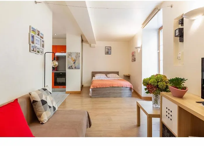 Location F1 Neuf Centre Historique *