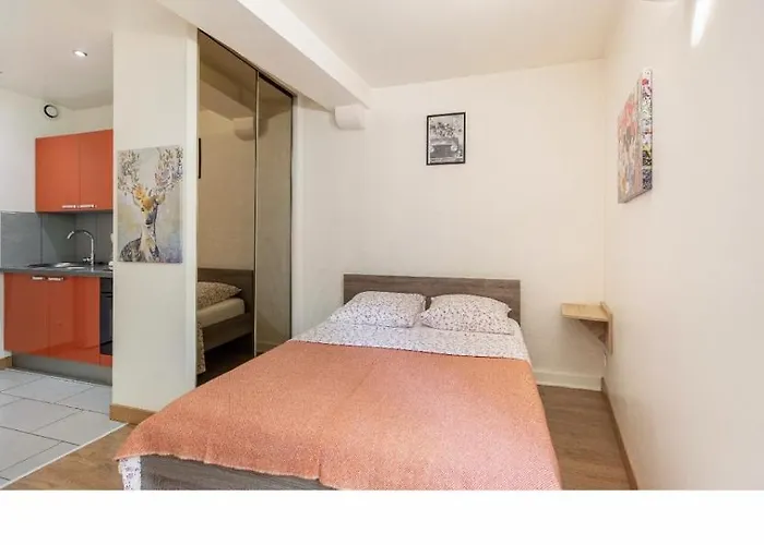 Location F1 Neuf Centre Historique Riom